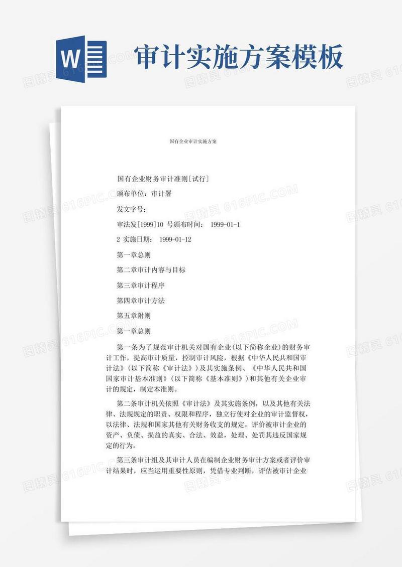 国有企业审计实施方案