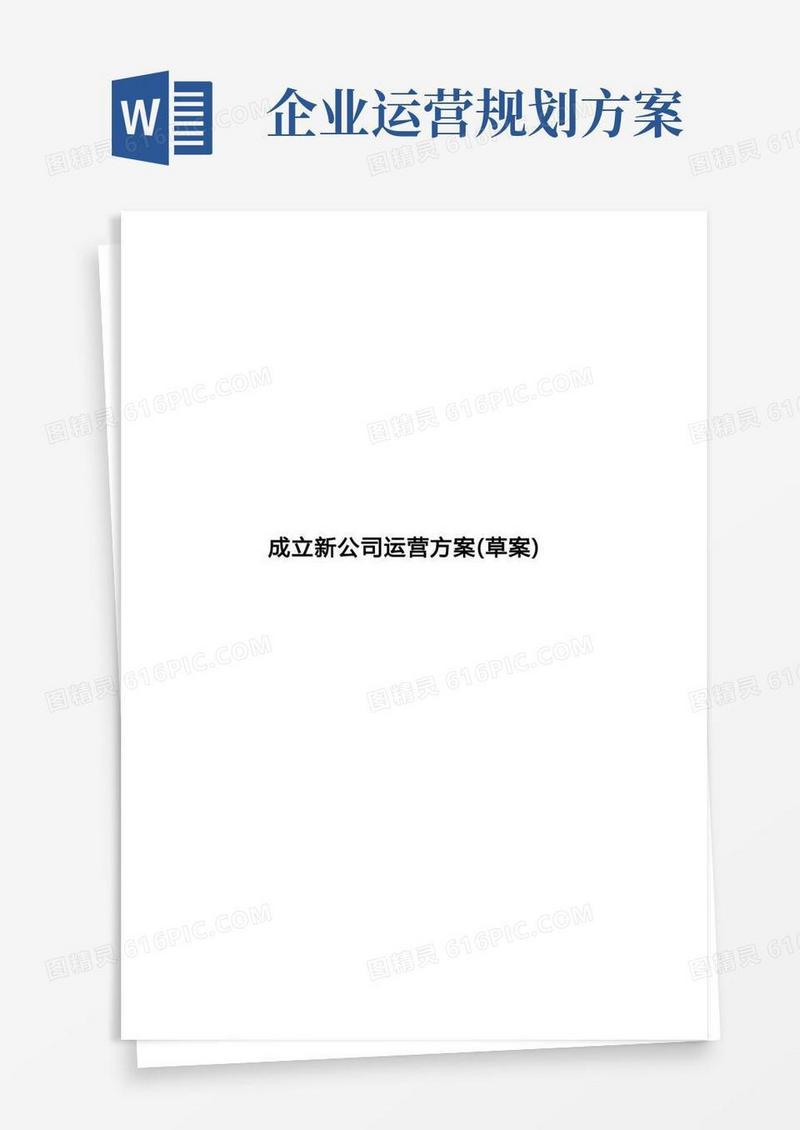 成立新公司运营方案模板