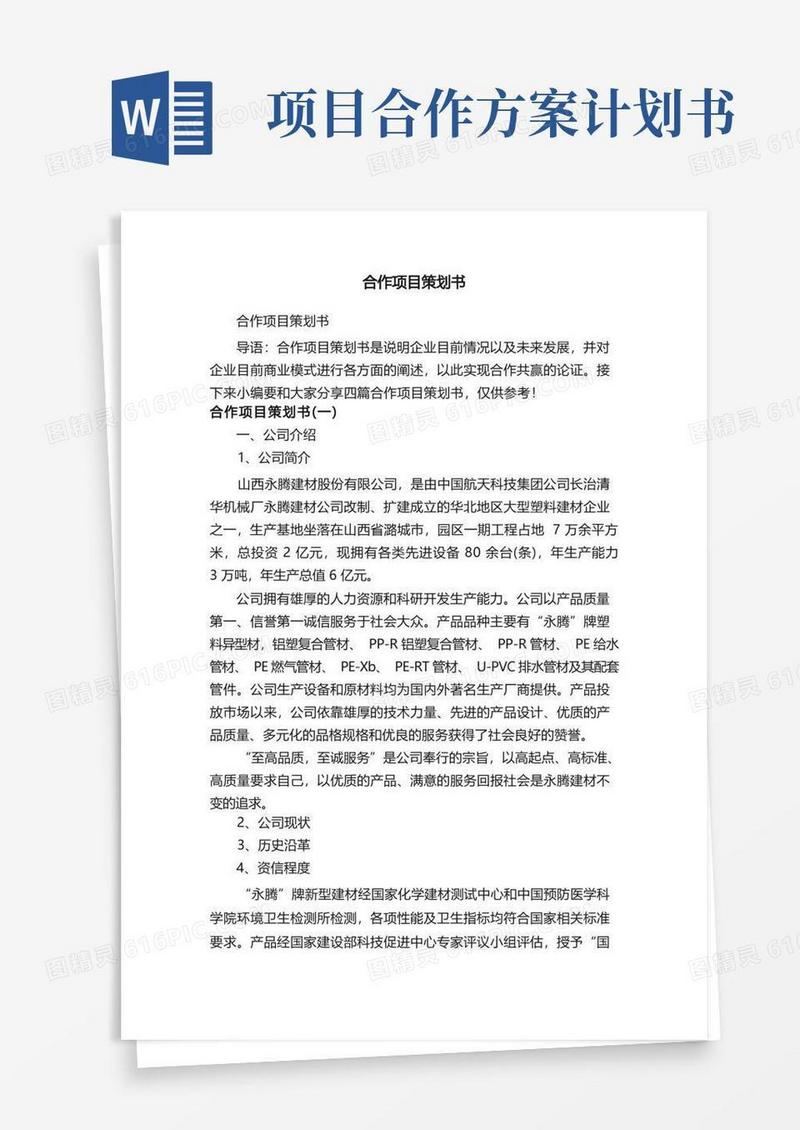 合作项目策划书