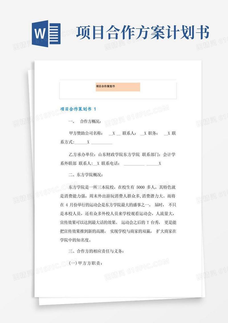 项目合作策划书