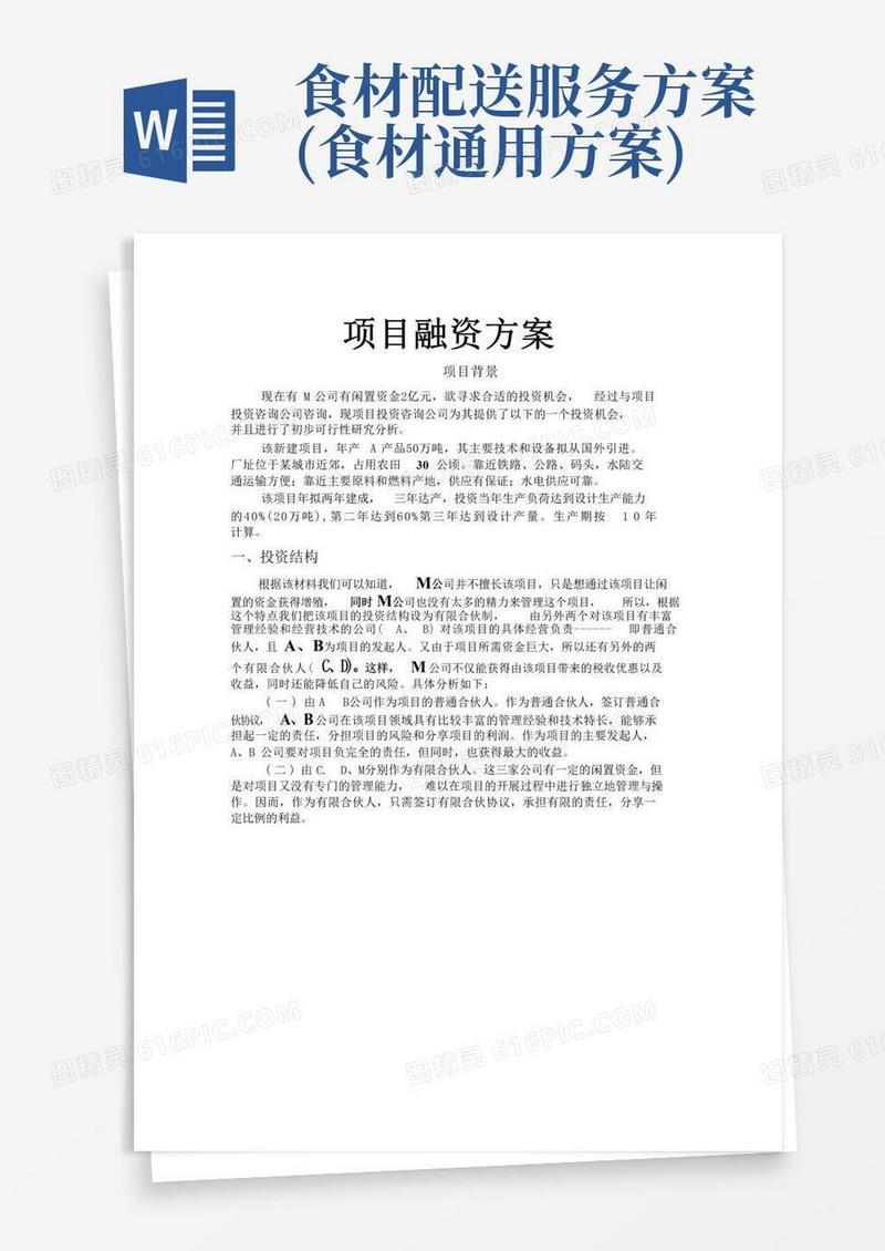 (完整版)项目融资方案