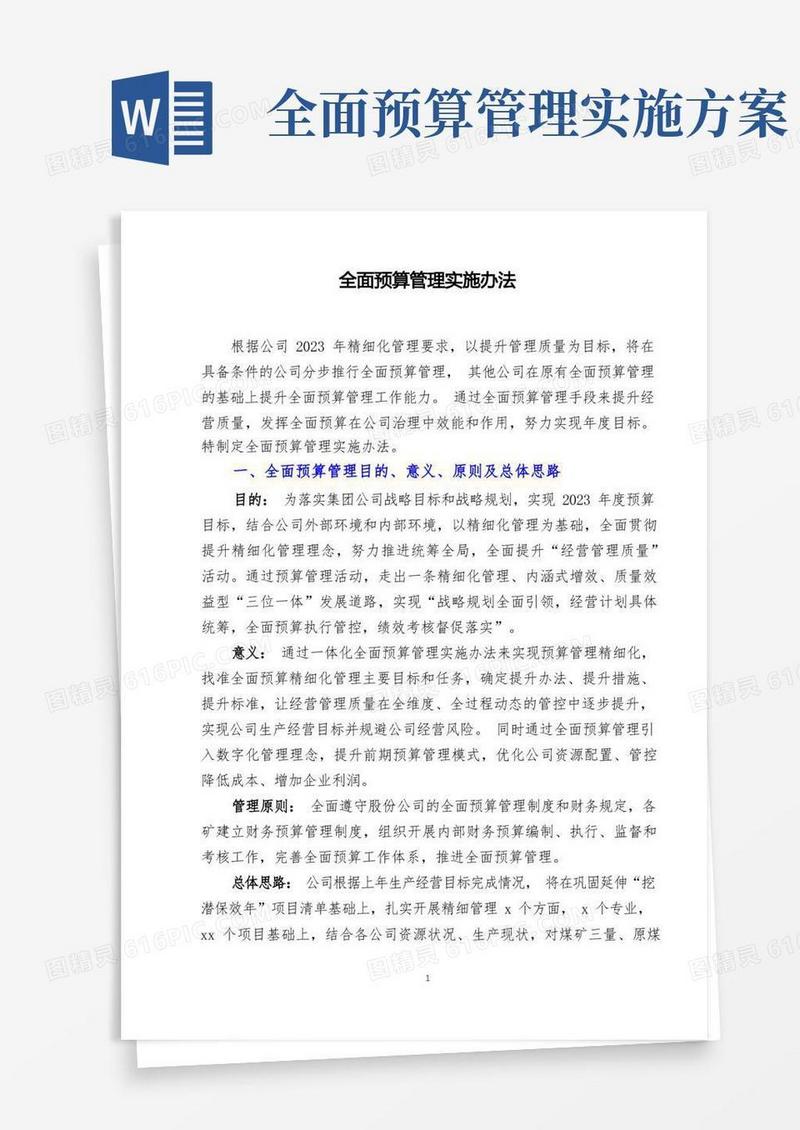 全面预算管理实施办法(模版)