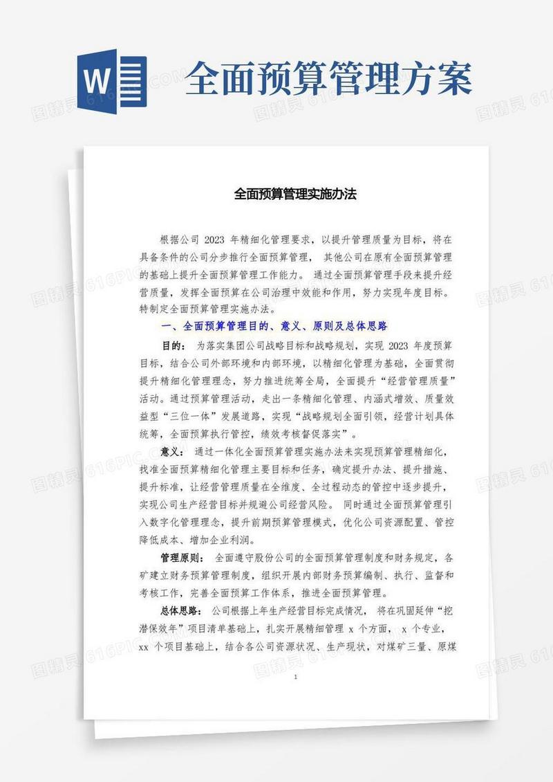 全面预算管理实施办法(模版)