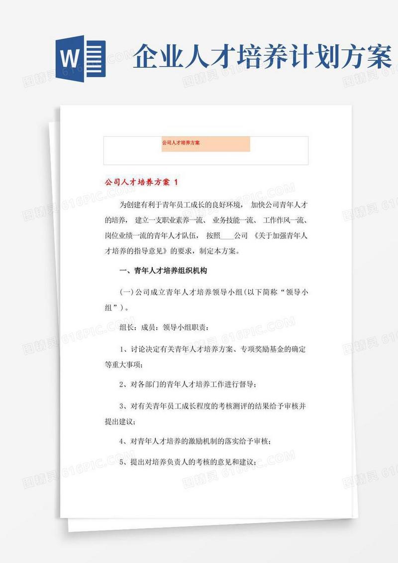 公司人才培养方案