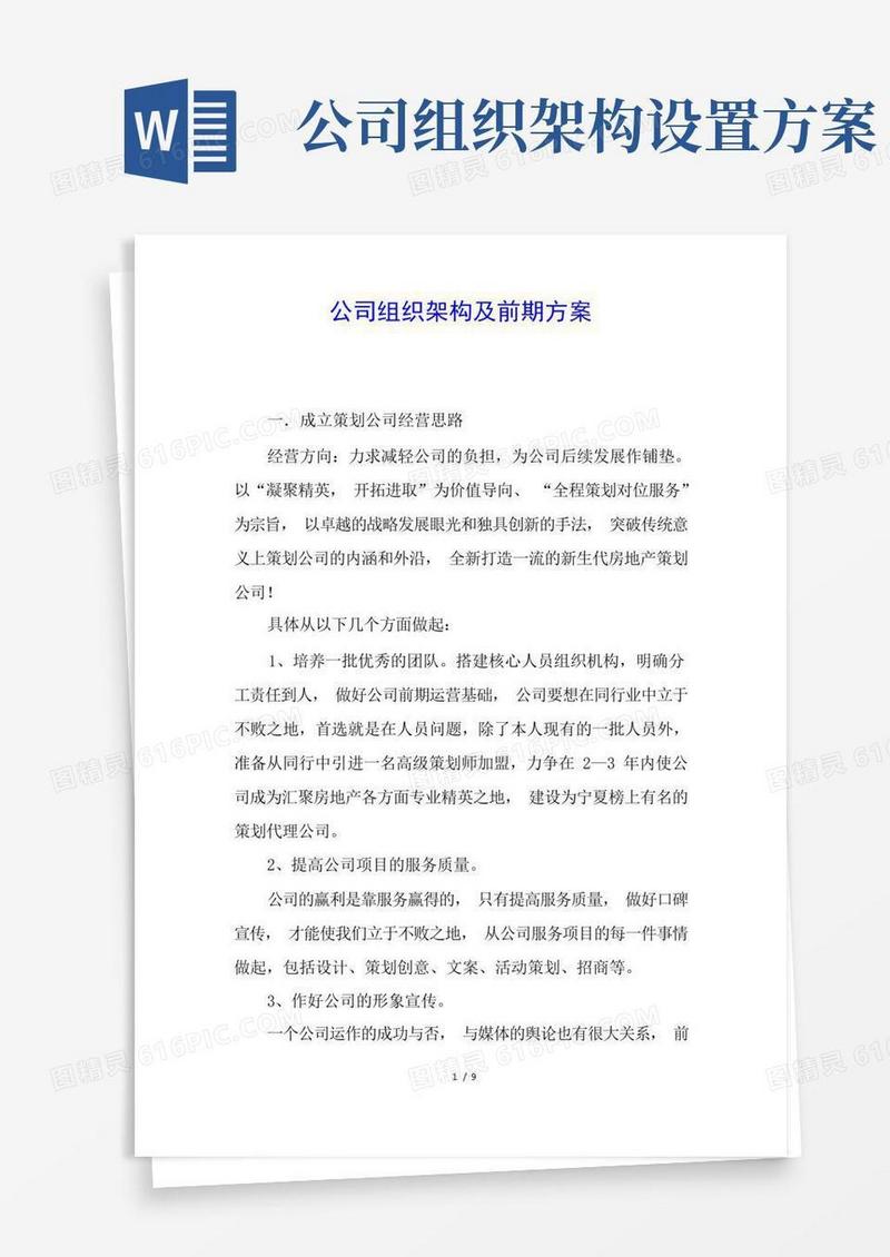 公司组织架构及前期方案