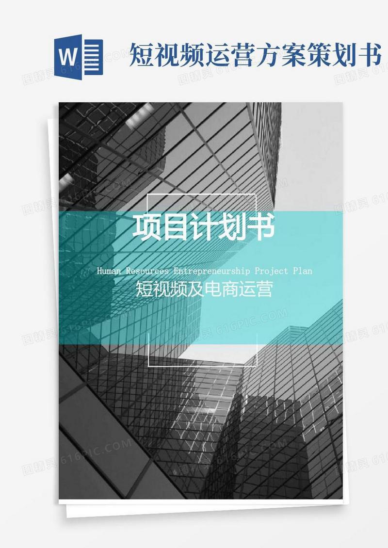 (完整版)短视频及电商运营项目融资商业计划书