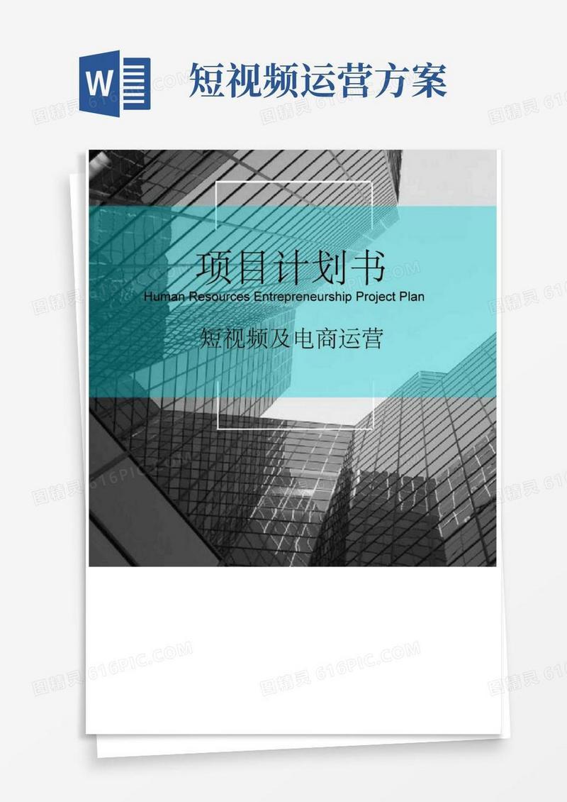 短视频电商运营项目融资商业计划书