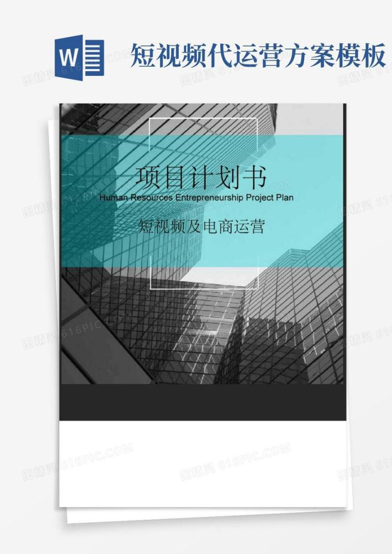 (完整版)短视频及电商运营项目融资商业计划书