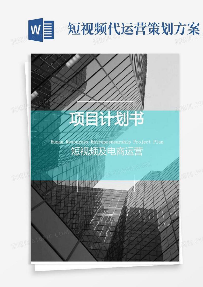 (完整版)短视频及电商运营项目融资商业计划书