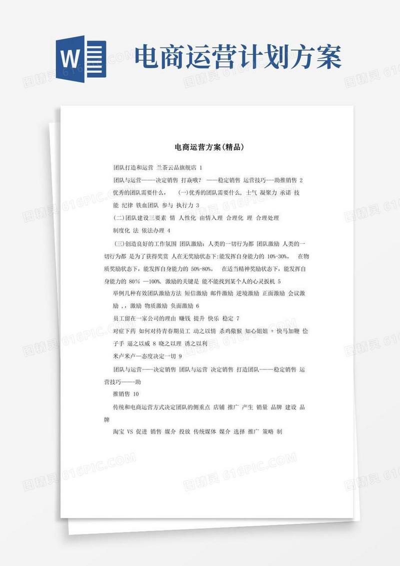 电商运营方案(精品)