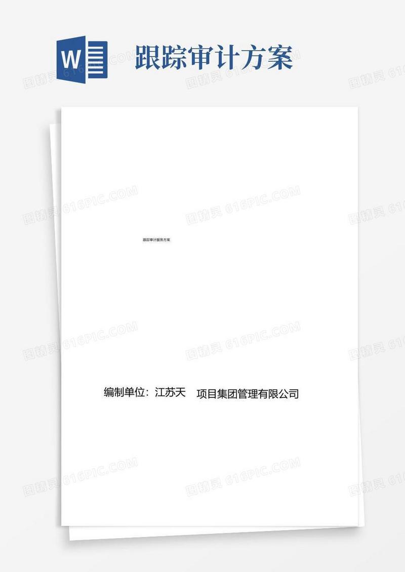 跟踪审计服务方案