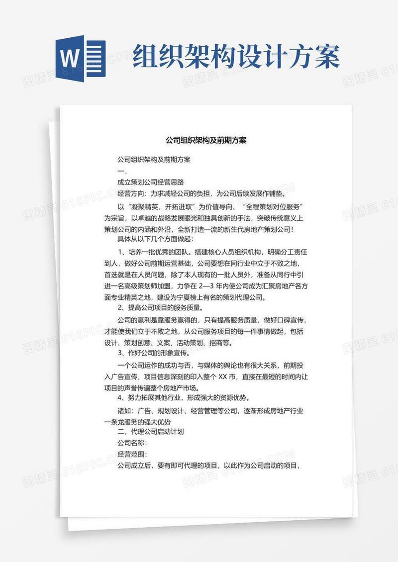公司组织架构及前期方案