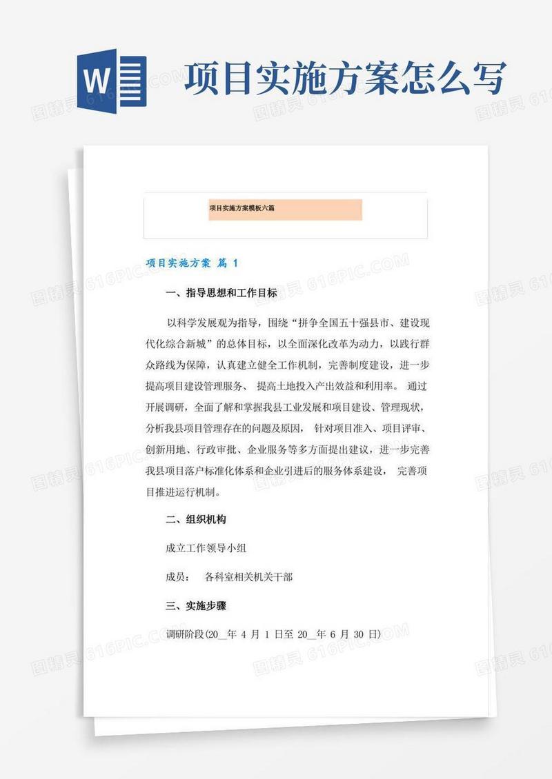 项目实施方案模板六篇