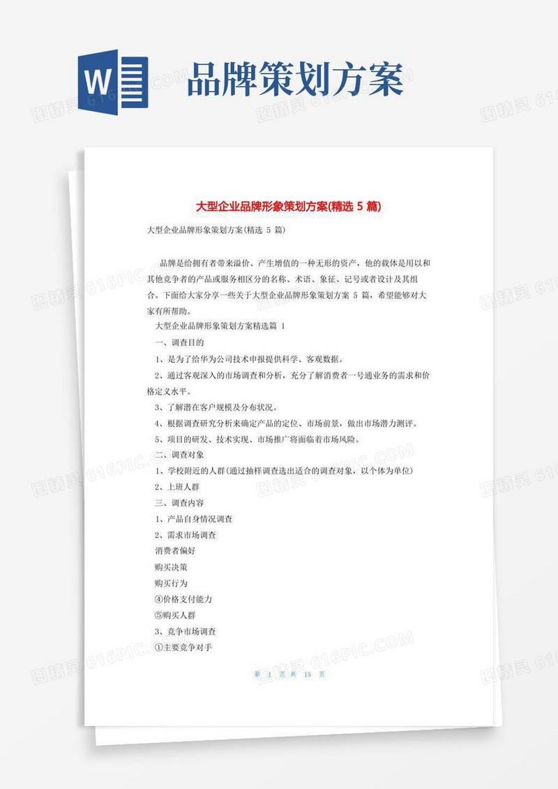 大型企业品牌形象策划方案(精选5篇)