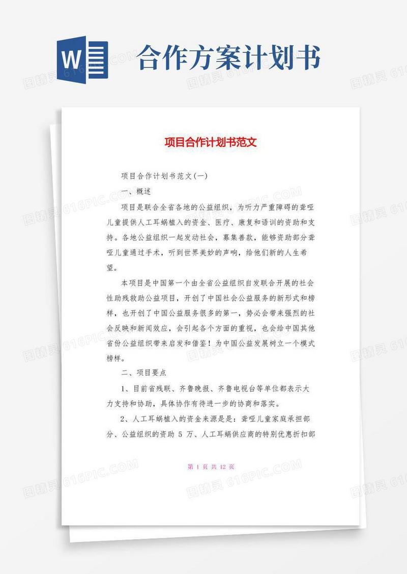 项目合作计划书范文
