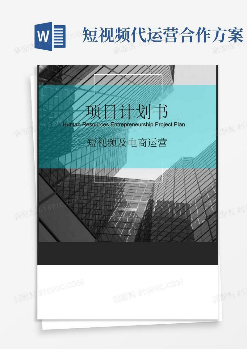(完整版)短视频及电商运营项目融资商业计划书