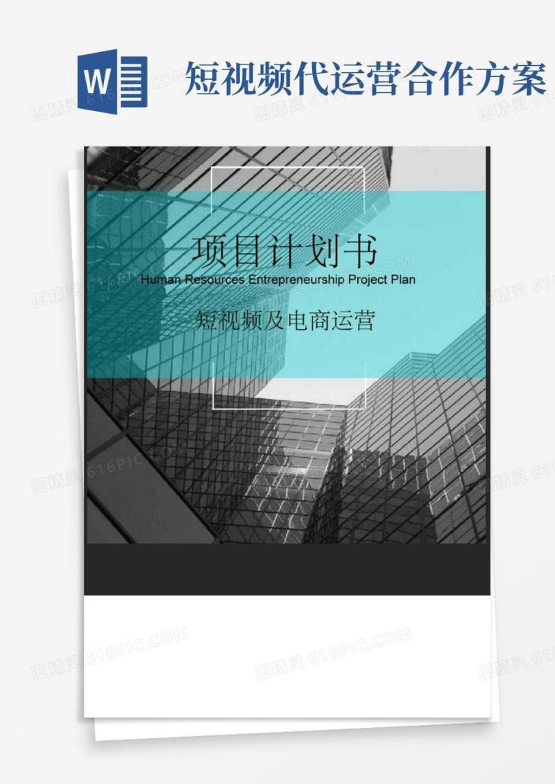 (完整版)短视频及电商运营项目融资商业计划书