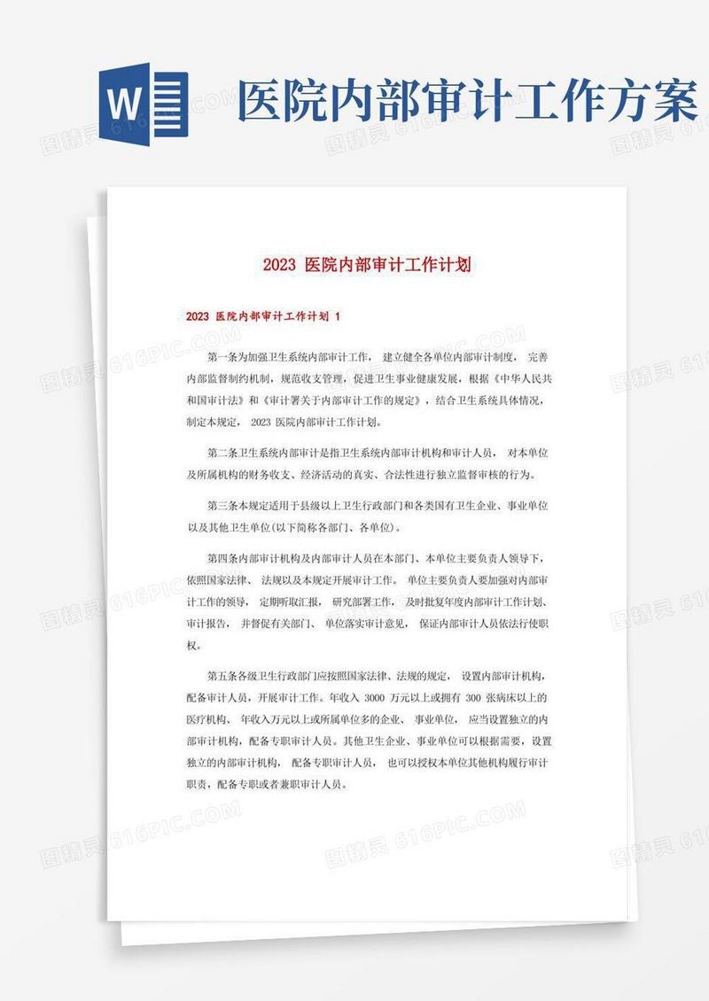 2023医院内部审计工作计划