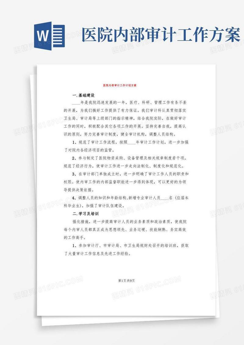 医院内部审计工作计划方案(3篇)