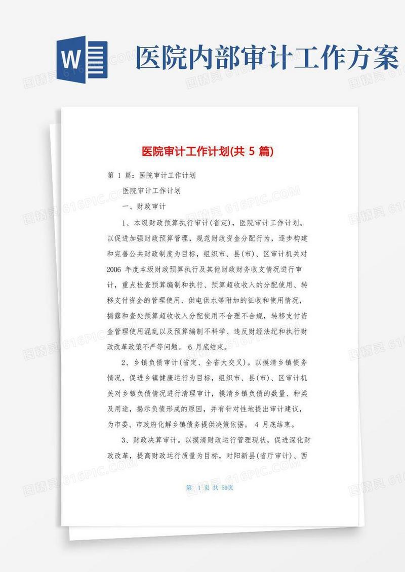 医院审计工作计划(共5篇)