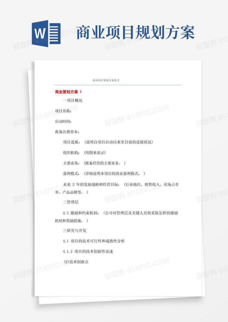 商业项目策划方案范文