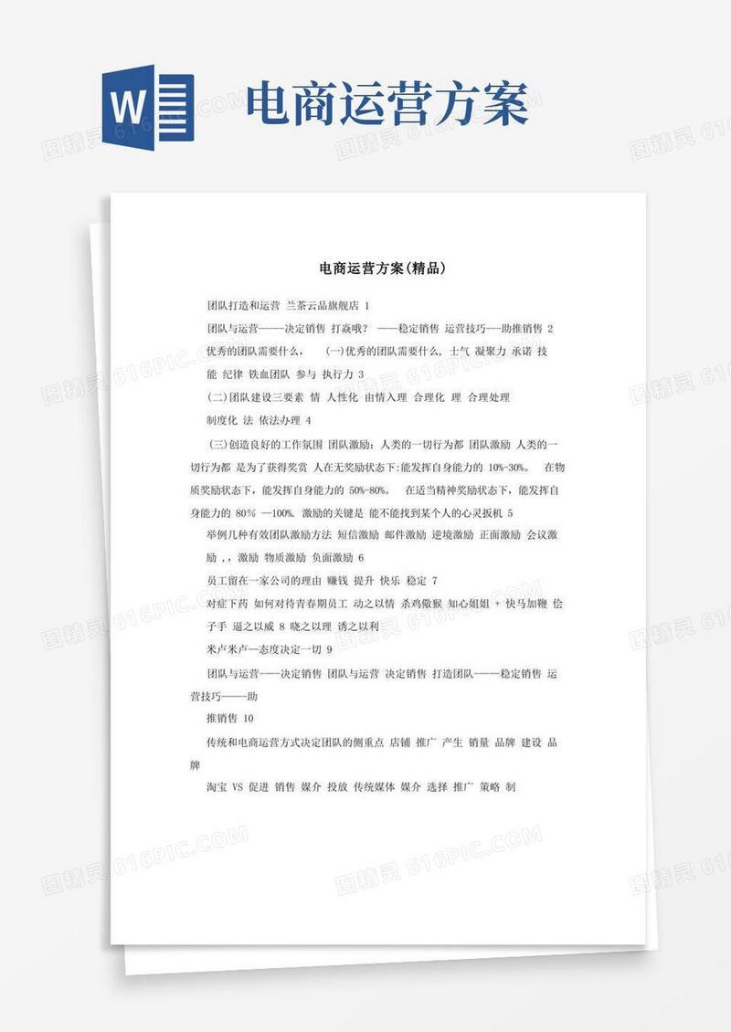 电商运营方案(精品)