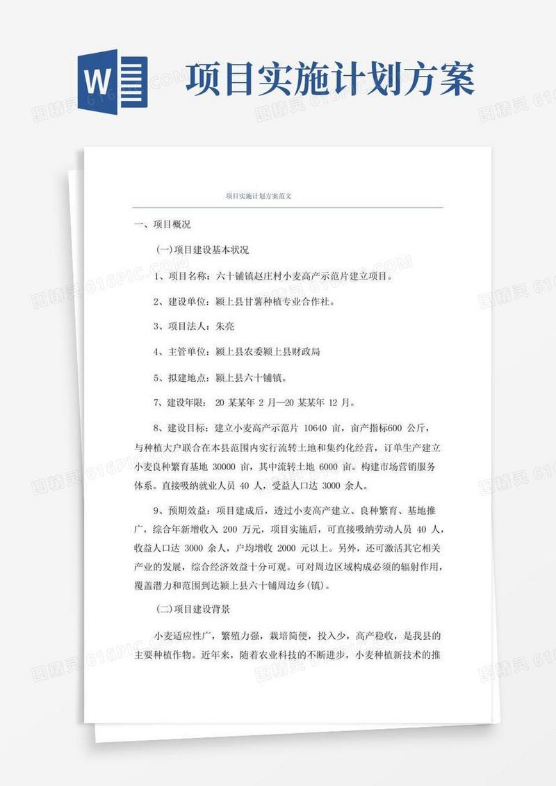 项目实施计划方案范文