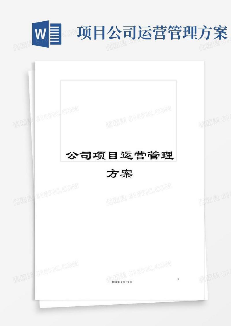 公司项目运营管理方案