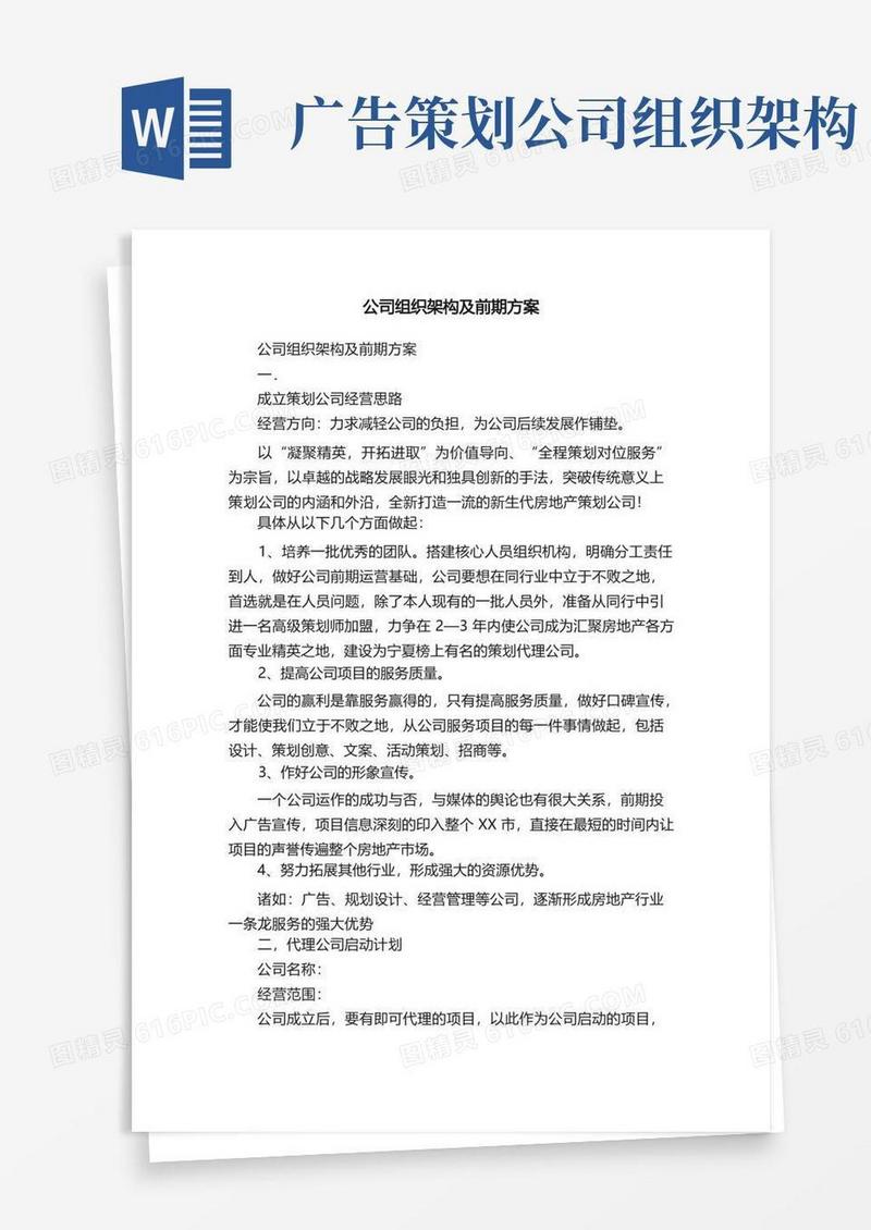 公司组织架构及前期方案