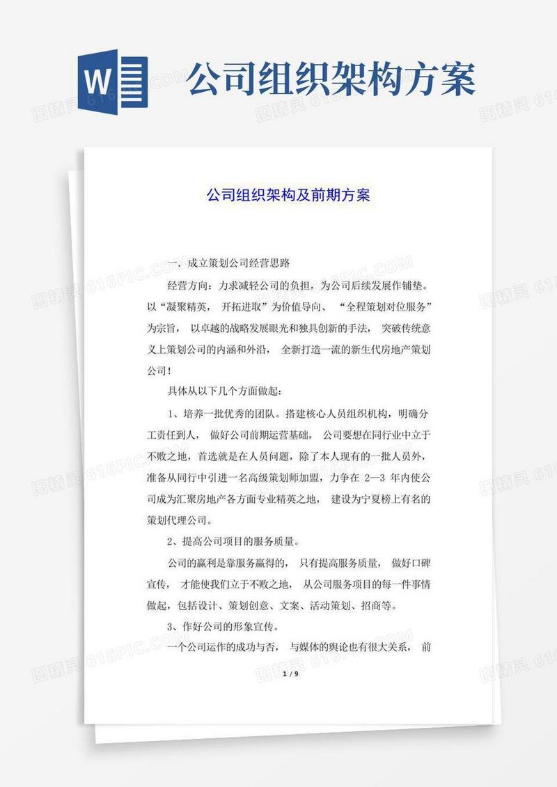 公司组织架构及前期方案
