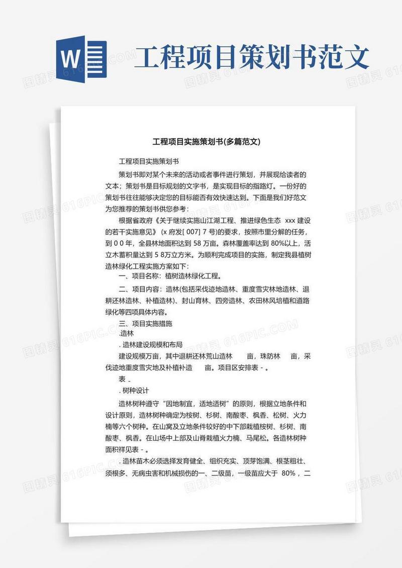 工程项目实施策划书（多篇范文）