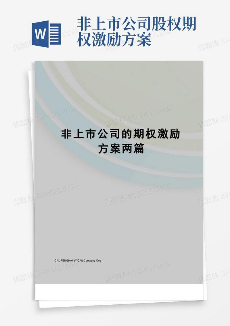 非上市公司的期权激励方案两篇