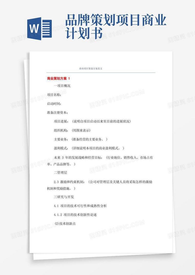 商业项目策划方案范文