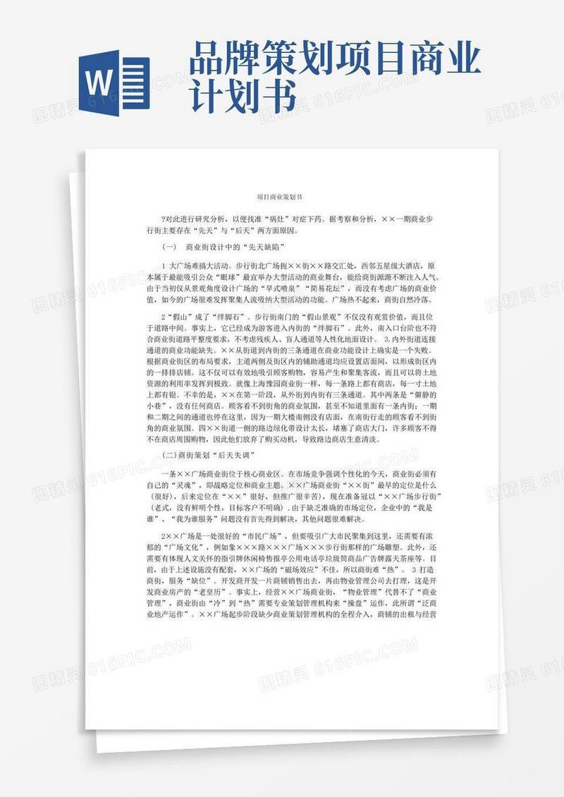 项目商业策划书