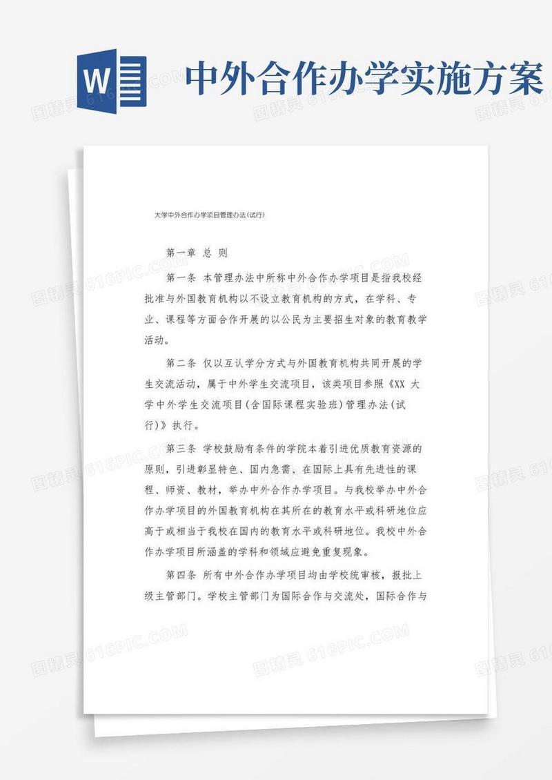 大学中外合作办学项目管理办法(试行)