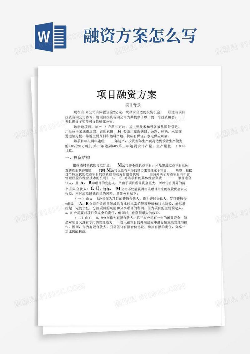 (完整版)项目融资方案
