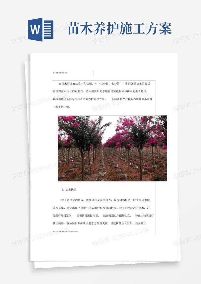 苗木栽植养护管理方案