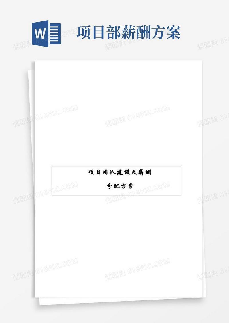 项目团队建设及薪酬方案设计分配