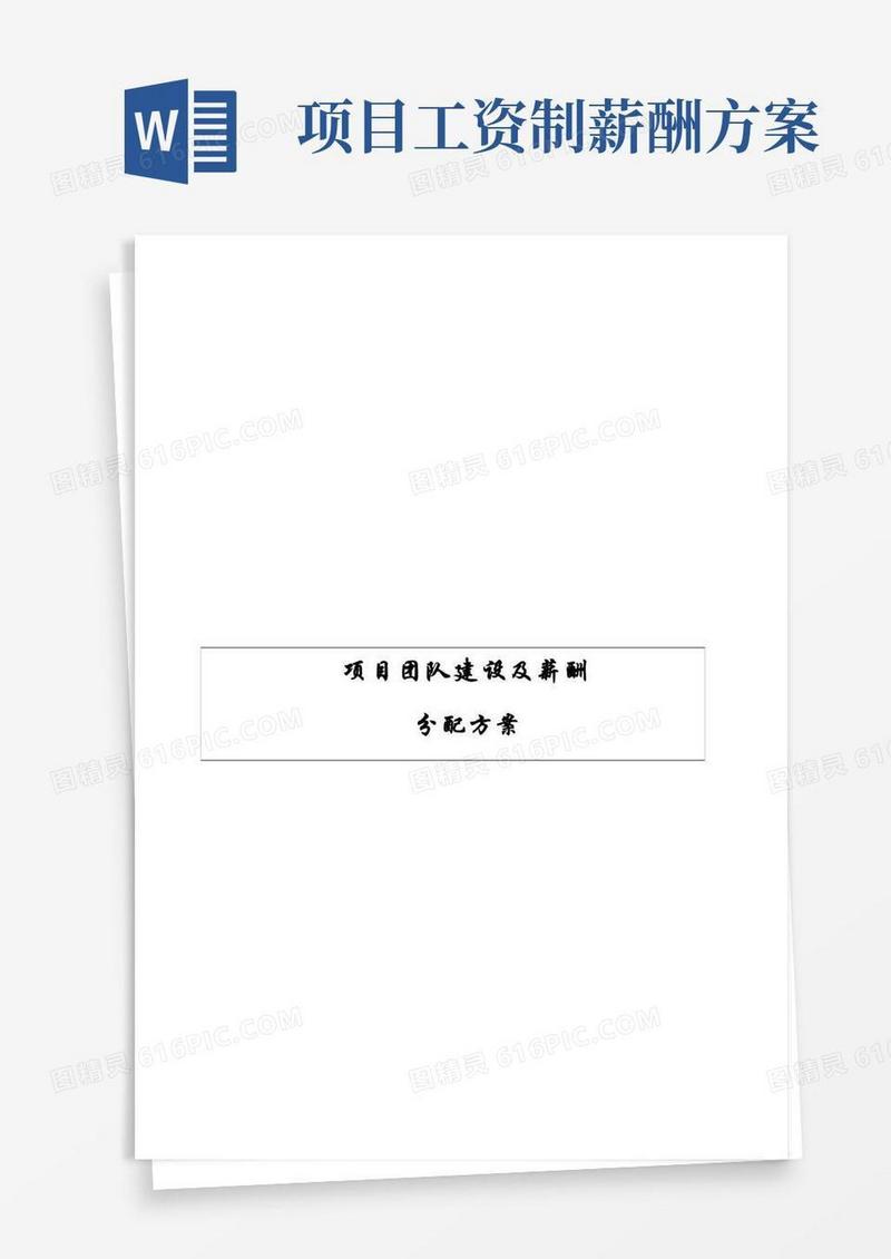 项目团队建设及薪酬方案设计分配