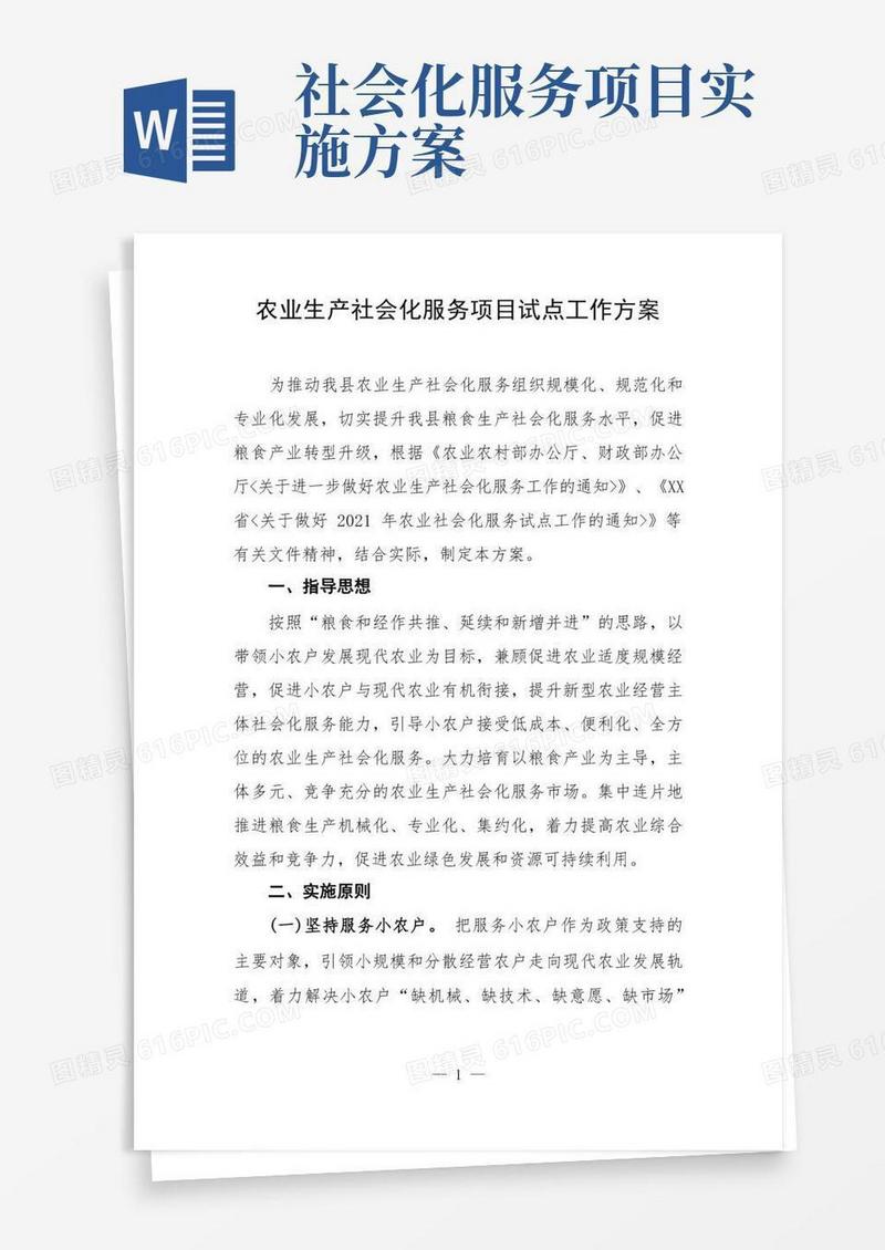 农业生产社会化服务项目试点工作方案