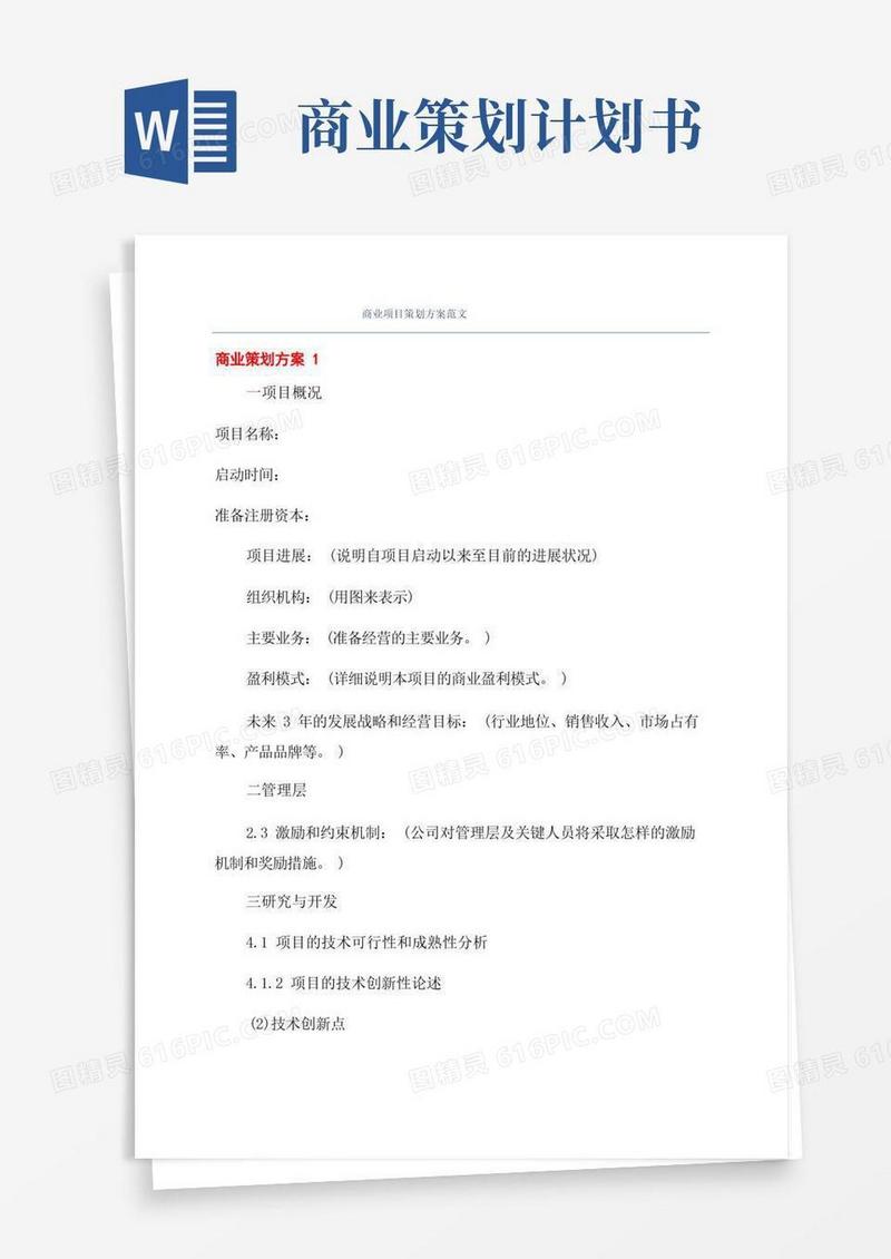 商业项目策划方案范文