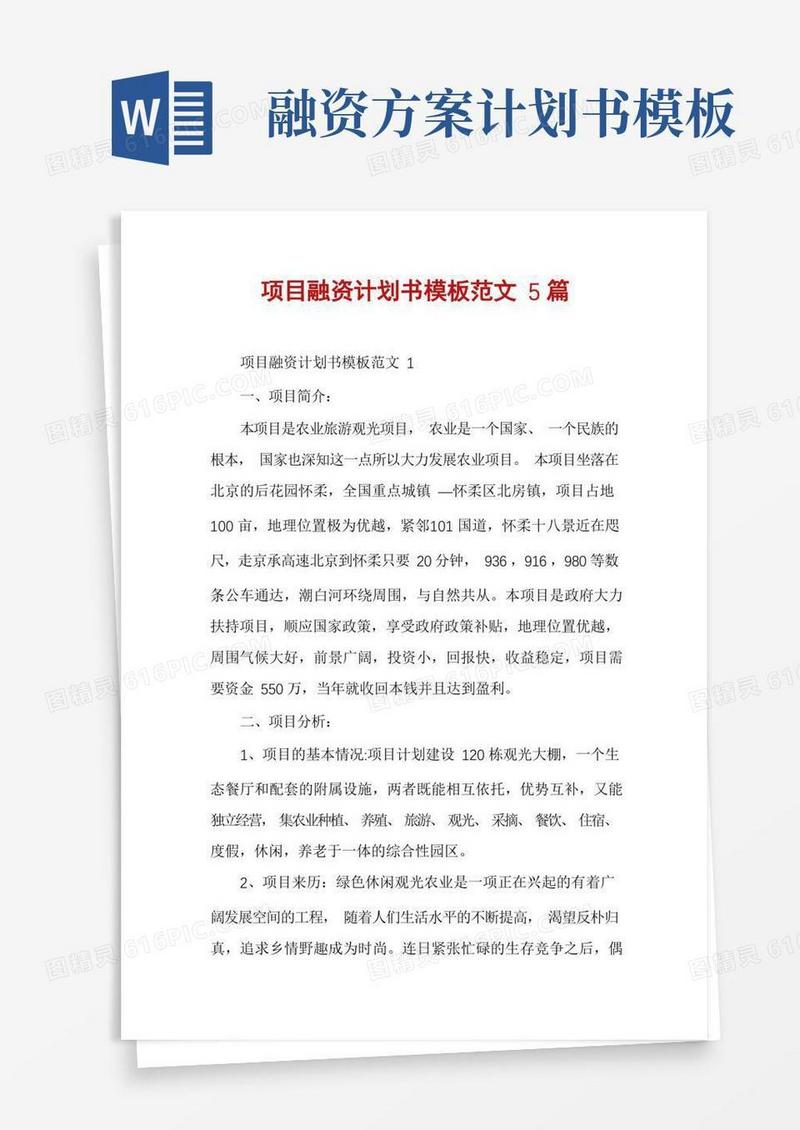项目融资计划书模板范文5篇