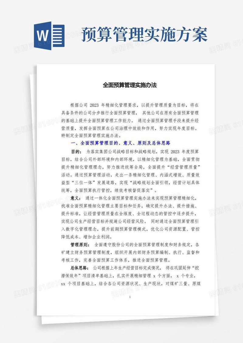 全面预算管理实施办法(模版)