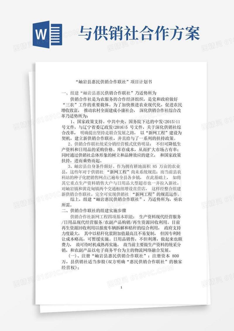 惠民供销合作联社项目策划书