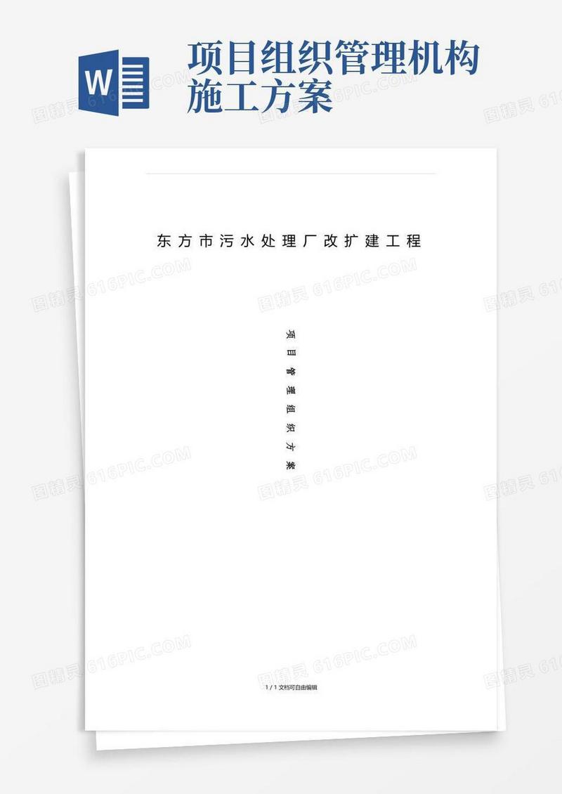 项目管理组织方案