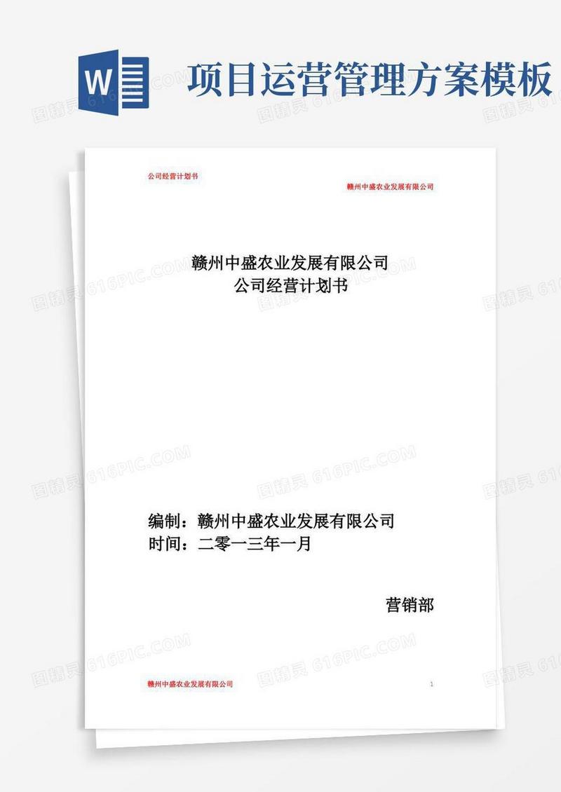 公司运营计划书模板-企业运行计划