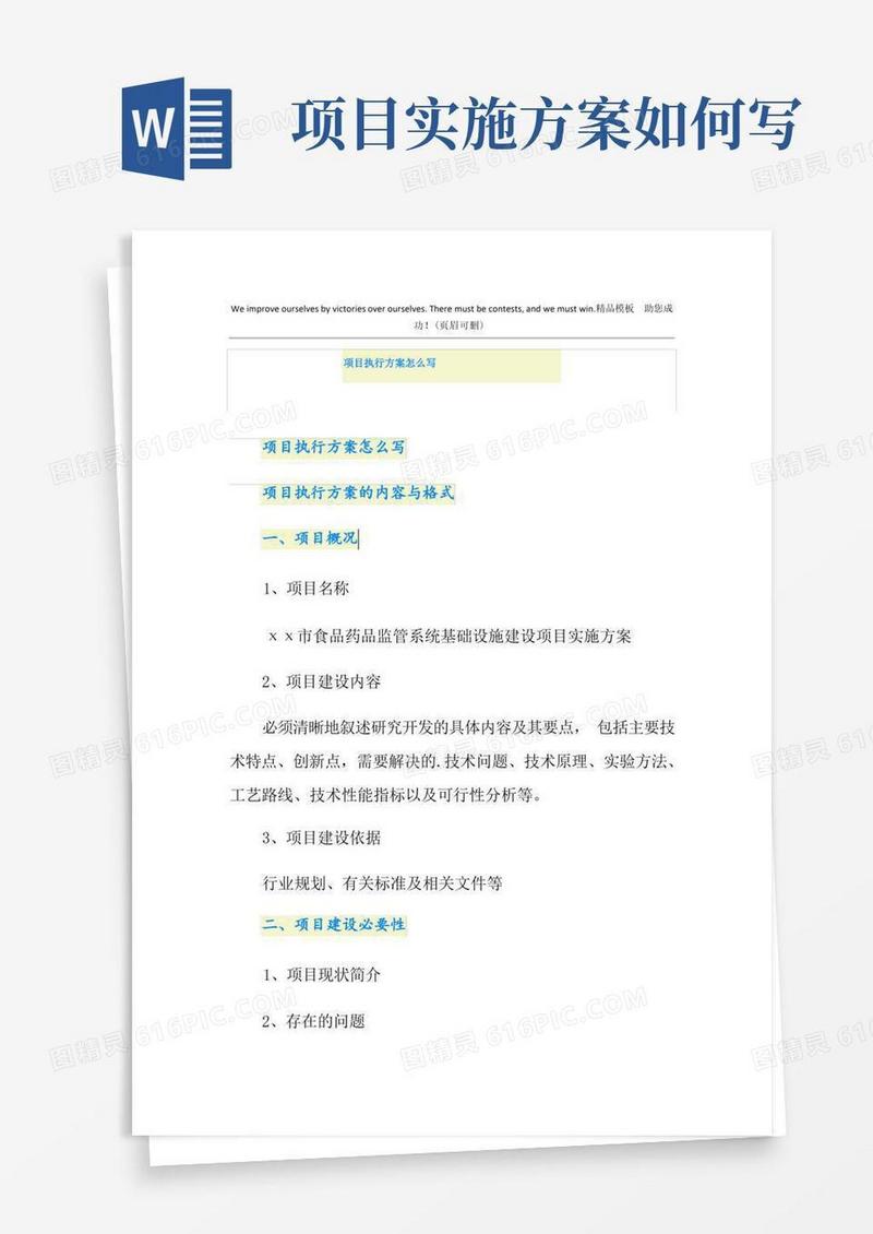 项目执行方案怎么写