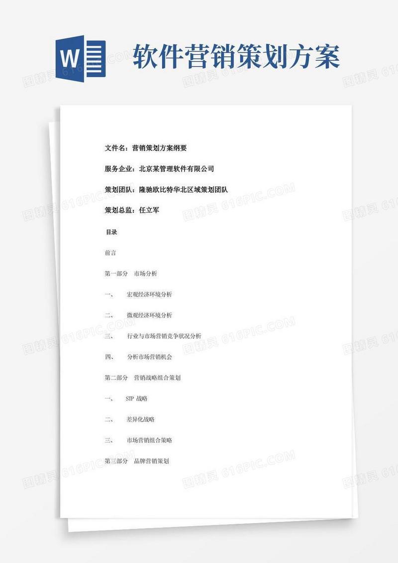 某软件公司营销策划方案