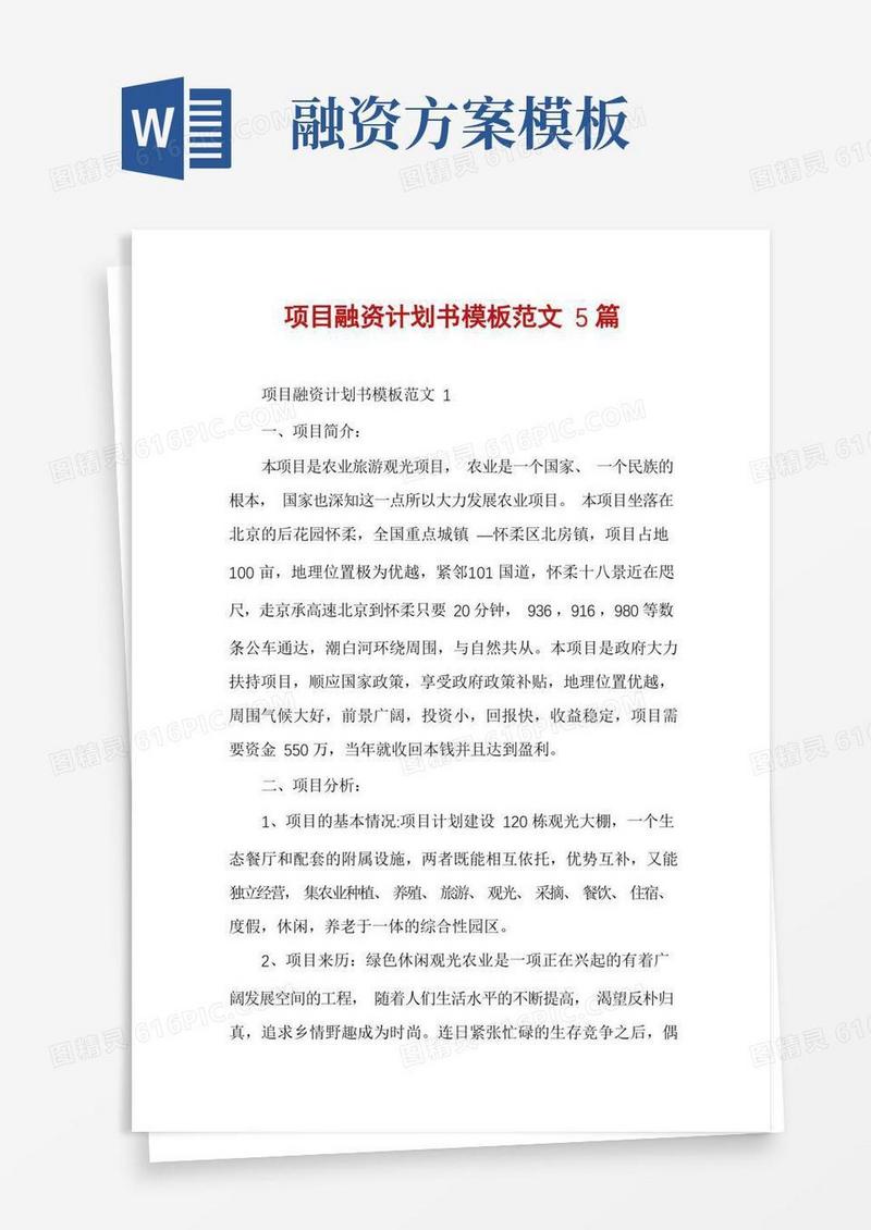项目融资计划书模板范文5篇