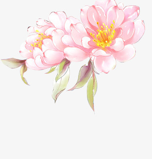花朵